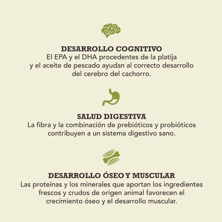 null - Product image 4.0